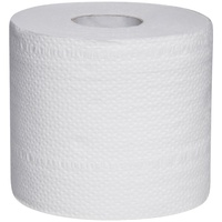 Clean & Soft 2 PLY 400 Sheet  Toilet Tissue 10x10cm (CTN 48) POLY BAG